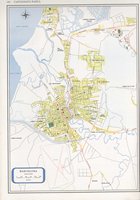 Click to see big picture (2331x3337 pixels; 22799 KB)
